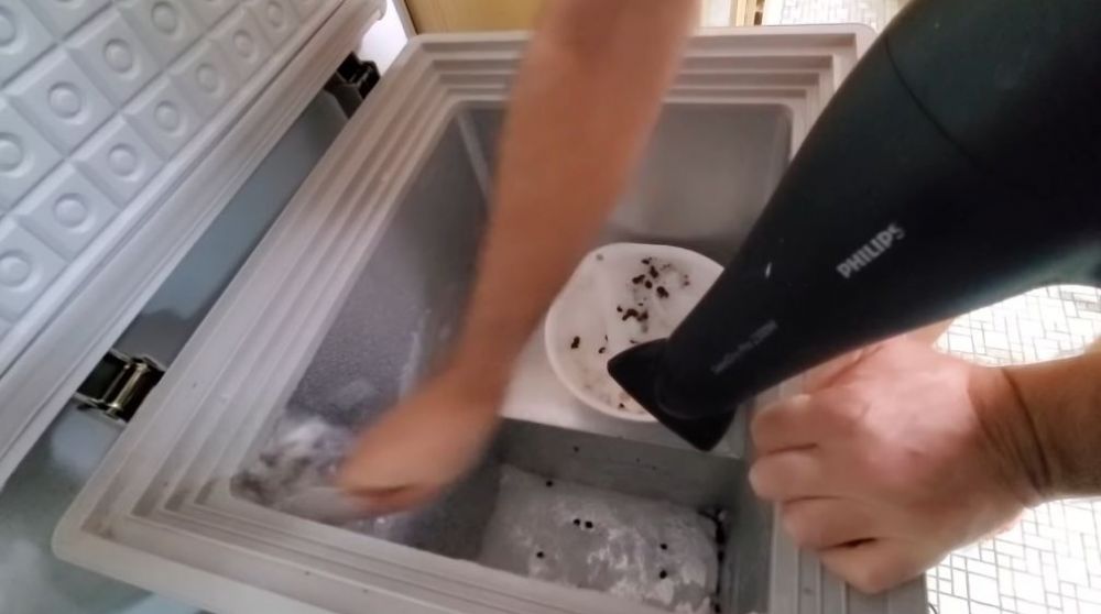 Bukan pakai kipas atau air panas, ini cara cepat bersihkan bunga es di freezer dalam 10 menit