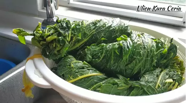 Ampuh tanpa tanah liat dan daun jambu biji, ini trik hilangkan rasa pahit daun pepaya pakai 1 bahan