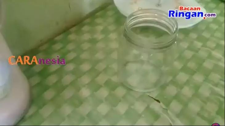 Bukan diberi umpan kopi, ini cara simpel bikin perangkap cicak cuma modal 1 bahan