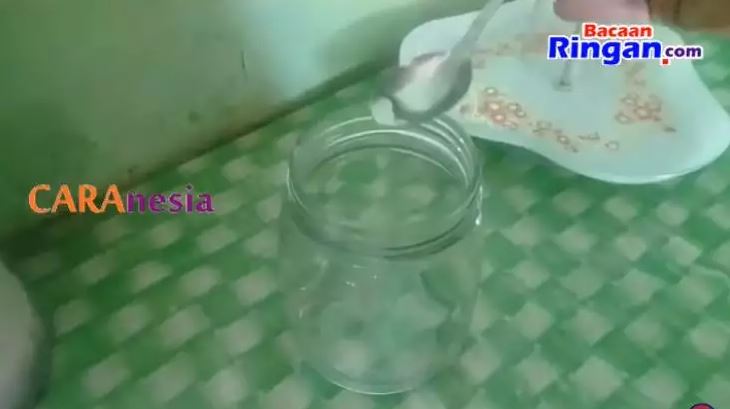 Bukan diberi umpan kopi, ini cara simpel bikin perangkap cicak cuma modal 1 bahan