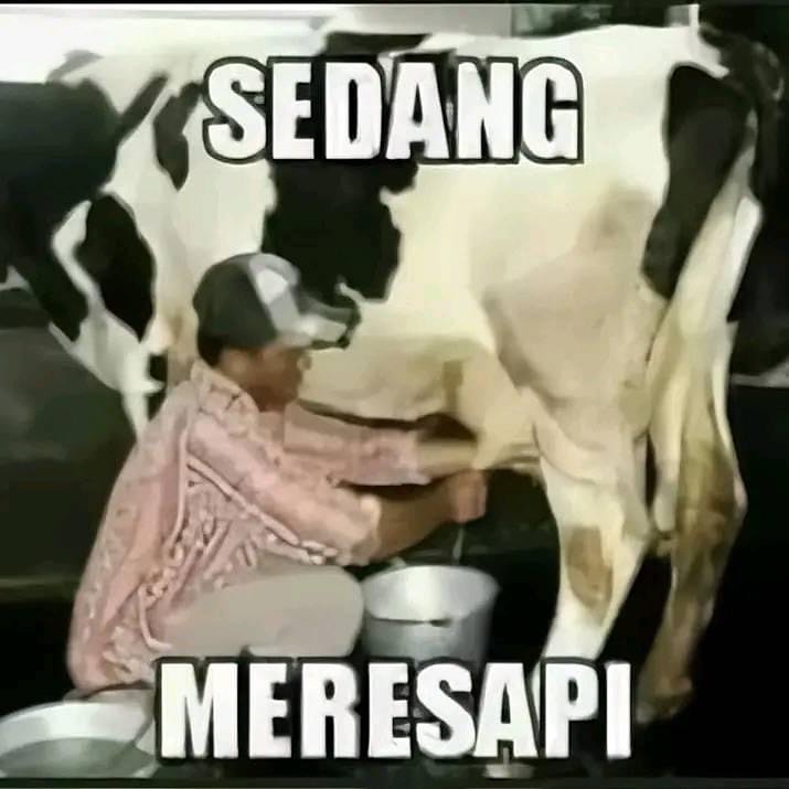 Kombinasi kata dan gambar Berbagai sumber