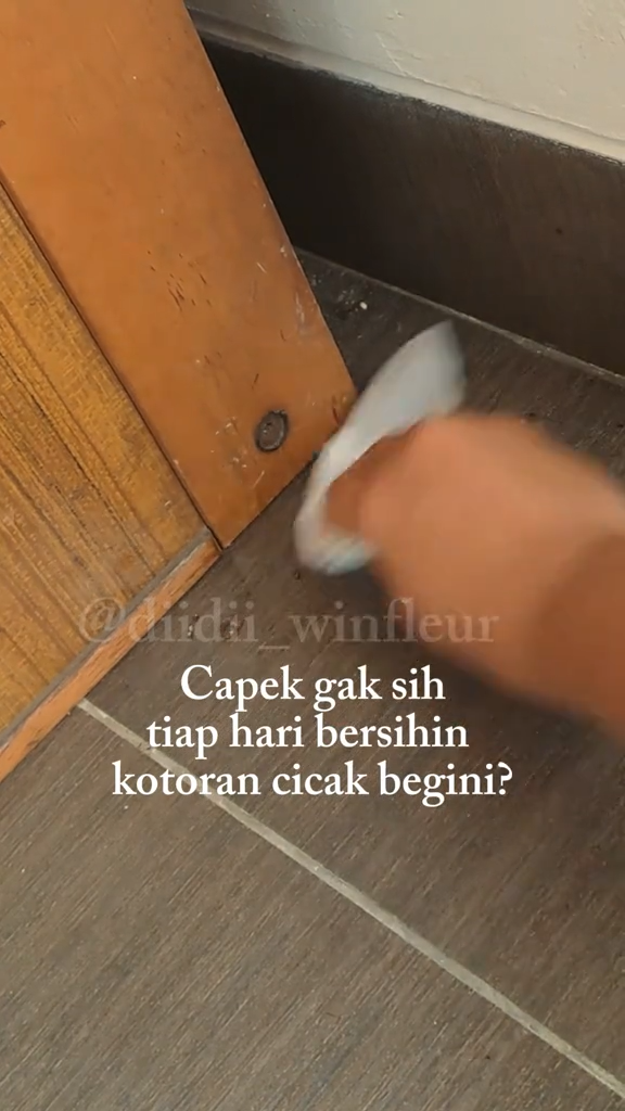 Tanpa perlu bikin perangkap, ini cara simpel membuat cairan pengusir cicak pakai 2 bumbu dapur