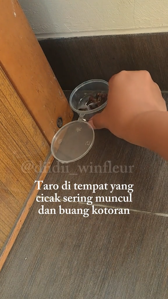 Tanpa perlu bikin perangkap, ini cara simpel membuat cairan pengusir cicak pakai 2 bumbu dapur