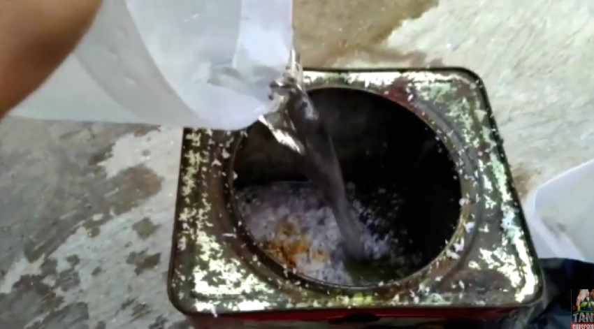 Tanpa micin, ini cara supaya tanaman daun bawang tumbuh subur dan lebat pakai 3 jenis sampah dapur