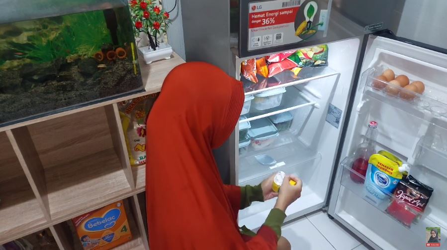 Tanpa cuka, begini cara ampuh enyahkan bau tak sedap di dalam kulkas pakai 1 bahan dapur
