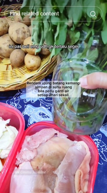 Tak perlu dimasukkan kulkas, ini trik menyimpan kemangi agar tetap segar hingga 1 minggu pakai 1 alat
