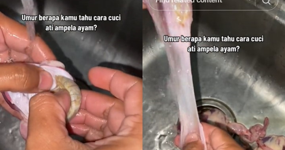 Jangan cuma dicuci air, ini cara membersihkan ampela ayam agar tidak amis dan kotor