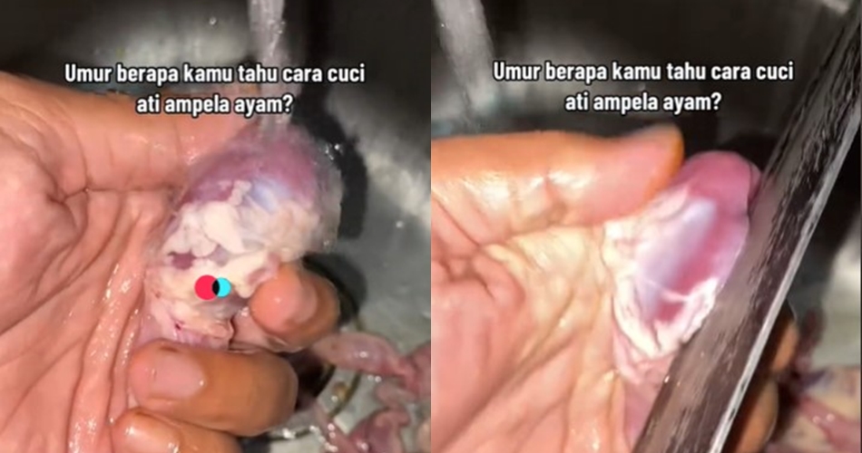 Jangan cuma dicuci air, ini cara membersihkan ampela ayam agar tidak amis dan kotor