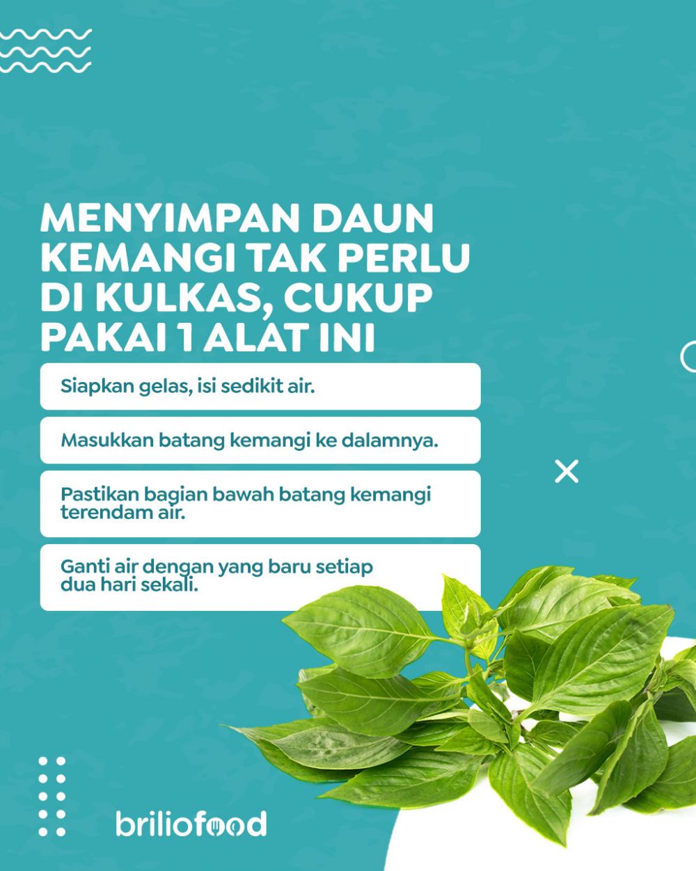 Tak perlu dimasukkan kulkas, ini trik menyimpan kemangi agar tetap segar hingga 1 minggu pakai 1 alat