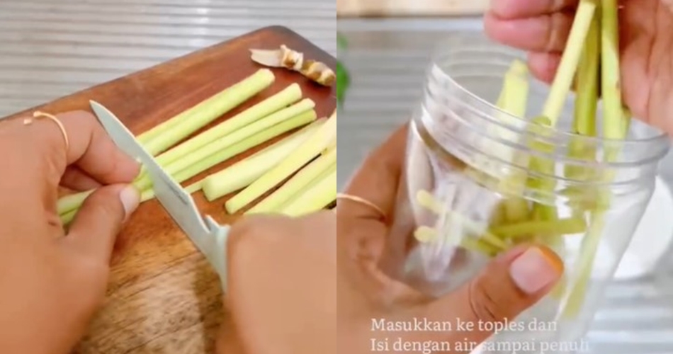 Bukan dibekukan di freezer, ini trik menyimpan serai agar awet wangi dan tak kering hingga 1 bulan
