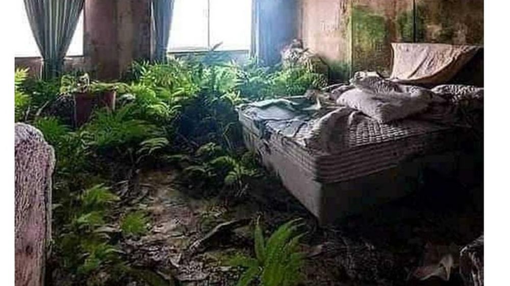 kasur bikin takut berbagai sumber