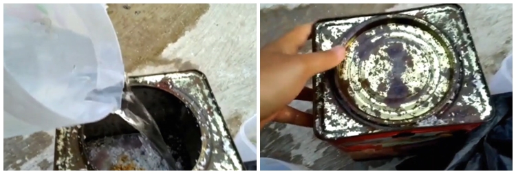 Bermodal ampas dapur, ini trik suburkan tanaman daun bawang agar lebih rimbun dan tak mudah busuk