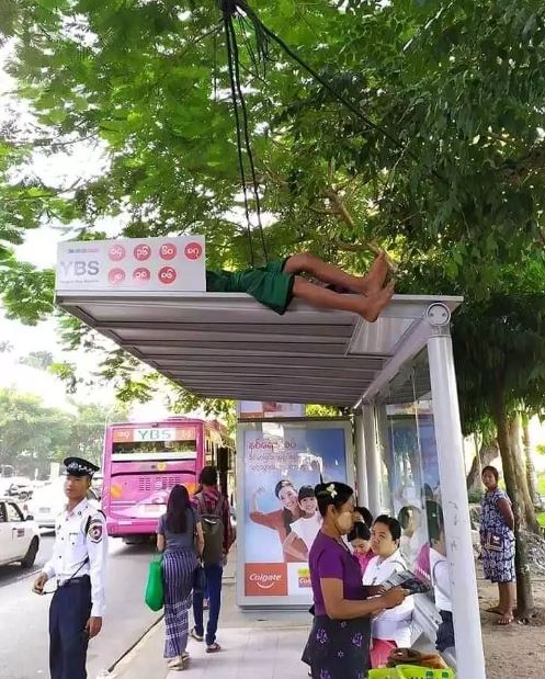 keasikan tidur © berbagai sumber keasikan tidur © berbagai sumber