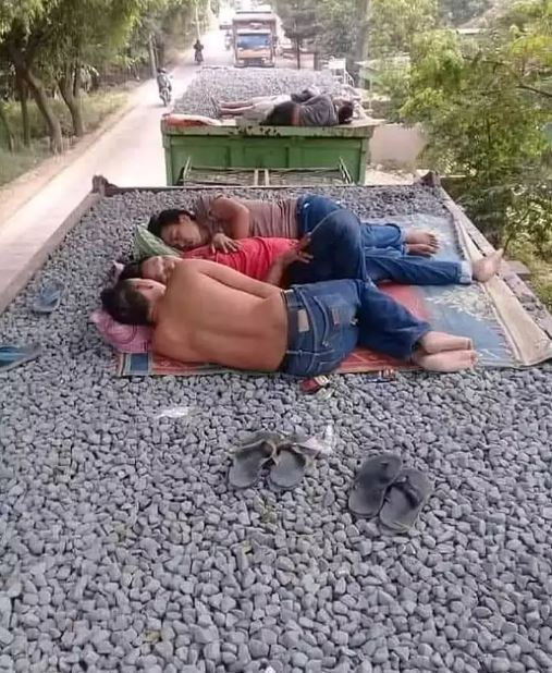 keasikan tidur © berbagai sumber keasikan tidur © berbagai sumber