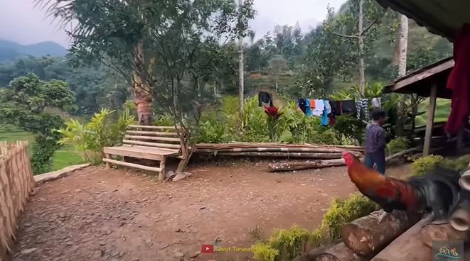 rumah dekat sawah © YouTube rumah dekat sawah © YouTube