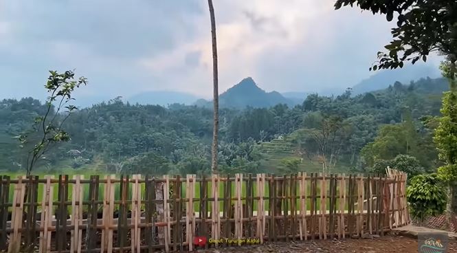 rumah dekat sawah © YouTube rumah dekat sawah © YouTube