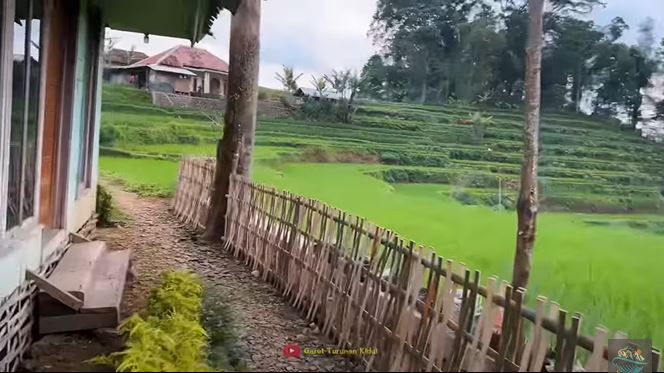 rumah dekat sawah © YouTube rumah dekat sawah © YouTube