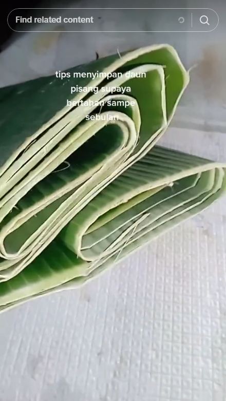 Bukan di kulkas, begini cara menyimpan daun pisang agar tak kering dan menguning hingga 3 minggu