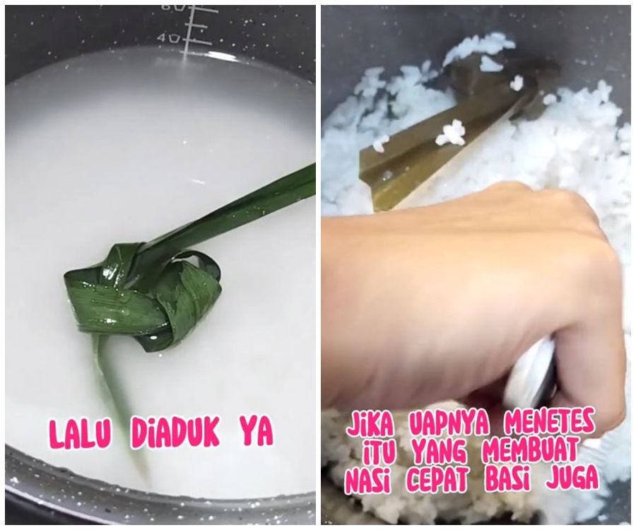 Tanpa minyak, ini trik menanak nasi agar tak cepat basi meski disimpan di rice cooker sampai 3 hari