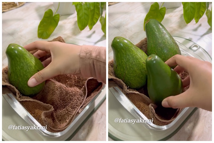 Bukan dibalut tisu atau diperam beras, ini cara cepat mematangkan buah alpukat pakai 1 bahan sederhana