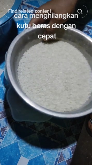 Tanpa daun salam atau kayu manis, ini trik mengusir kutu beras cuma mengandalkan 1 alat dapur