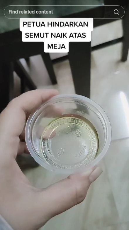 Tak perlu kapur barus, ini trik ampuh mencegah semut naik ke meja makan pakai 1 bahan dapur