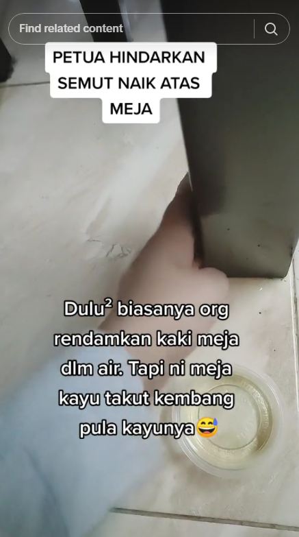 Tak perlu kapur barus, ini trik ampuh mencegah semut naik ke meja makan pakai 1 bahan dapur