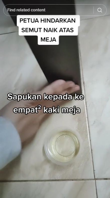 Tak perlu kapur barus, ini trik ampuh mencegah semut naik ke meja makan pakai 1 bahan dapur