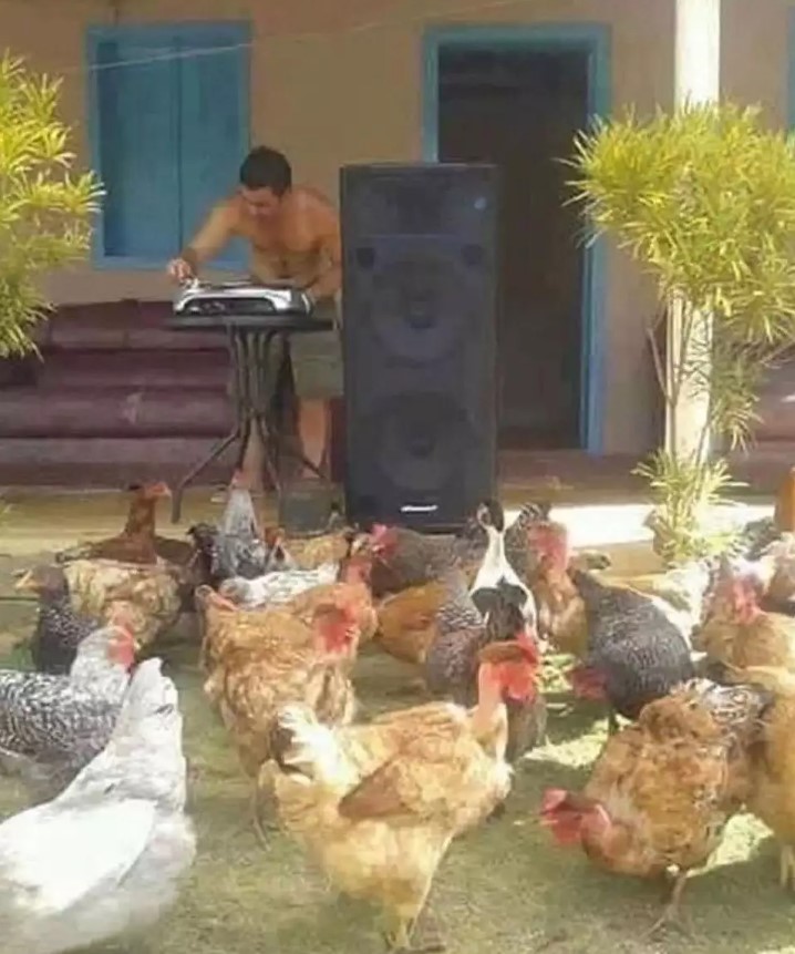 Konser bikin gagal fokus Berbagai sumber Konser bikin gagal fokus Berbagai sumber