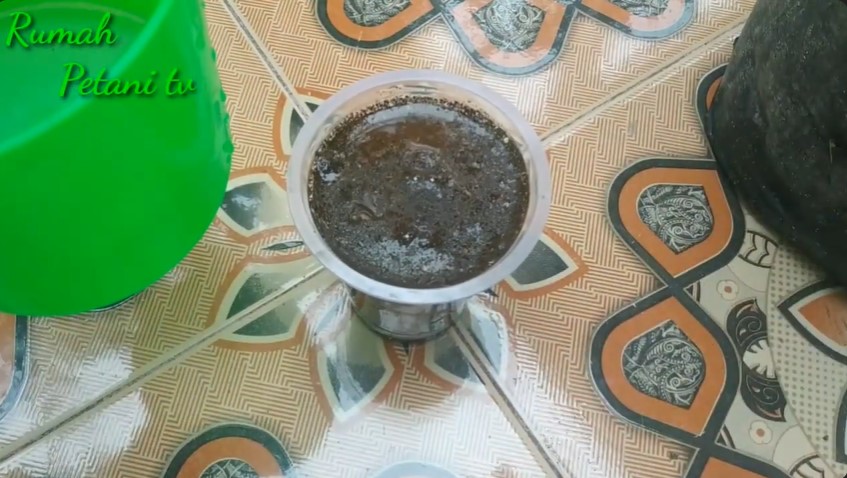 Tanpa micin atau garam, ini trik merawat tanaman cabai agar berbuah lebat cuma pakai 1 bahan minuman