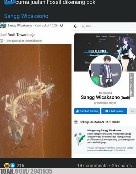 Potret jualan di FB bikin melongo Berbagai sumber Potret jualan di FB bikin melongo Berbagai sumber