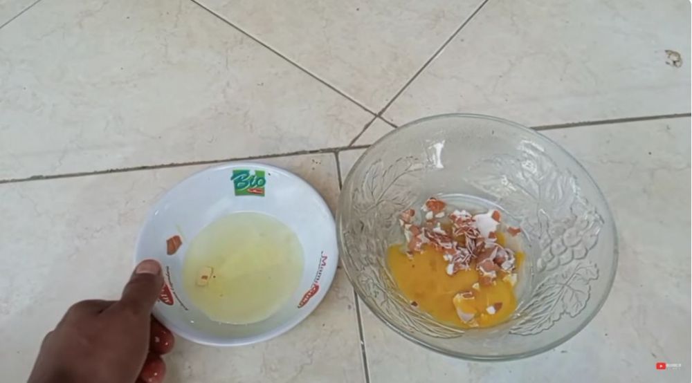 Tanpa air cucian beras, ini trik melebatkan buah pada pohon jeruk cukup pakai 2 jenis minuman
