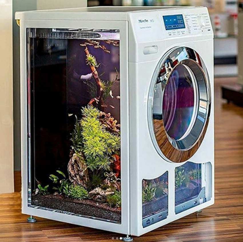 akuarium nyeleneh berbagai sumber