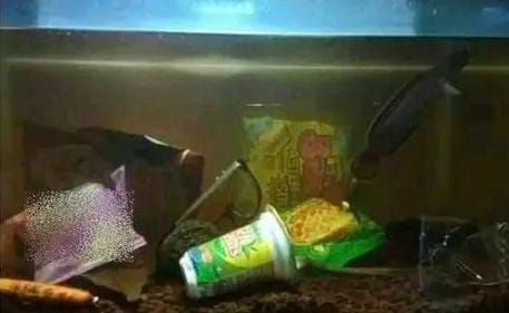 akuarium nyeleneh berbagai sumber