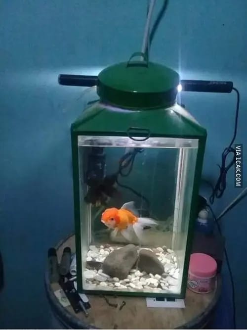 akuarium nyeleneh berbagai sumber