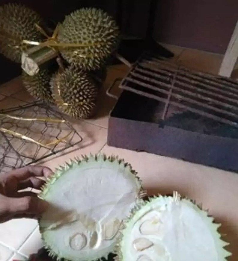 makan durian kocak © berbagai sumber