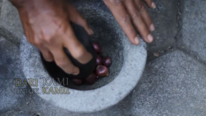 Tanpa sabun cuci piring, ini trik mengusir kutu daun di tanaman terong cuma pakai 1 bumbu dapur