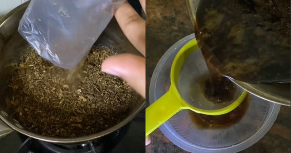 Tanpa micin atau bawang, ini trik membasmi hama pada tanaman jambu cukup pakai 1 bahan sederhana
