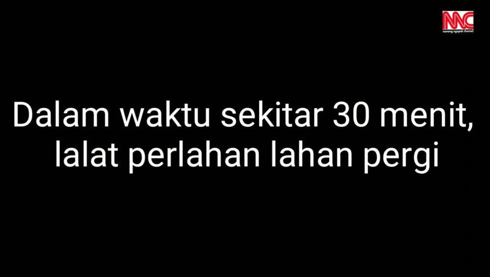 Tak perlu bikin perangkap, ini cara mudah mengusir lalat secara alami pakai 1 bahan masakan