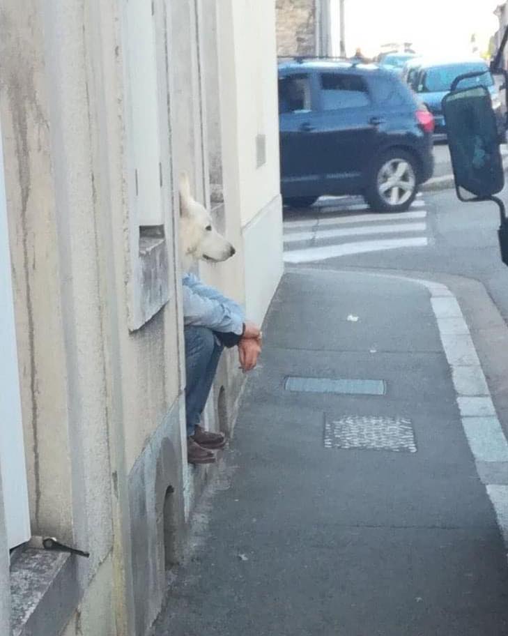 Jepretan kebetulan dari samping Berbagai sumber