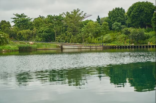 Arti mimpi melihat air jernih freepik.com