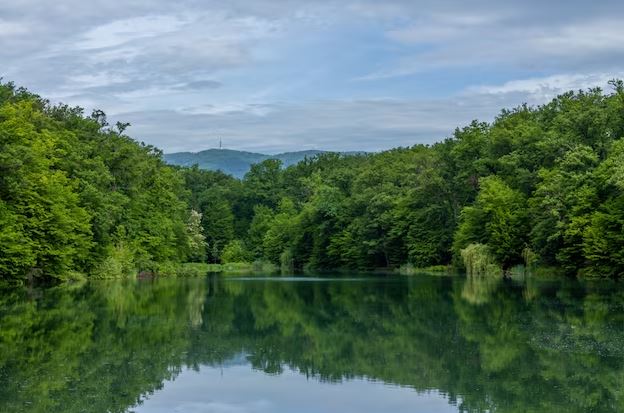 Arti mimpi melihat air jernih freepik.com