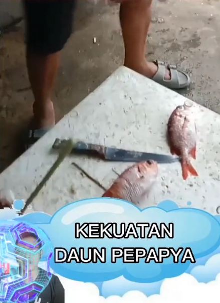 Tak perlu pisau atau sendok, ini cara cepat bersihkan sisik ikan pakai 1 jenis tanaman
