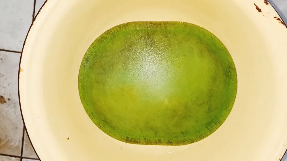 Bukan baking soda, ini cara mencuci talenan plastik berjamur agar bersih lagi pakai 1 bahan dapur