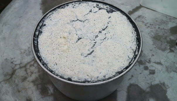 Bukan micin, ini trik merawat tanaman cabai agar semakin subur dan berbuah lebat pakai 2 bahan dapur