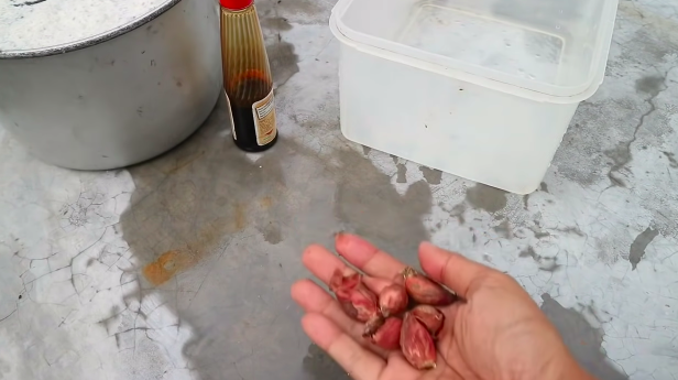 Bukan micin, ini trik merawat tanaman cabai agar semakin subur dan berbuah lebat pakai 2 bahan dapur