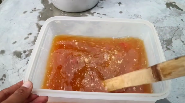 Bukan micin, ini trik merawat tanaman cabai agar semakin subur dan berbuah lebat pakai 2 bahan dapur