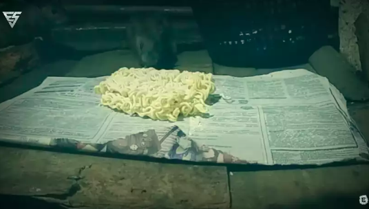 Nggak perlu bikin perangkap, ini cara membasmi tikus di dapur cuma pakai tambahan 1 bahan makanan