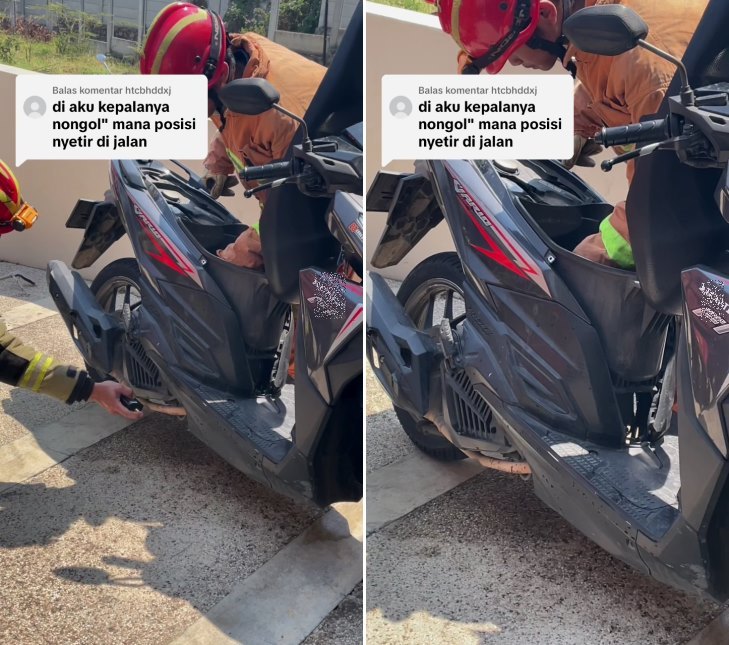 ular dalam motor © TikTok