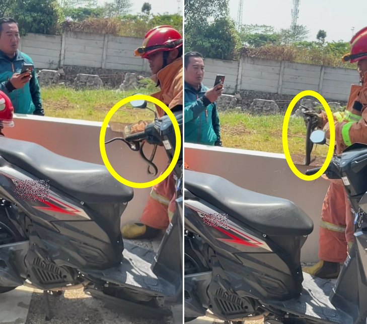 ular dalam motor © TikTok